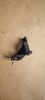 Passar till Bmw F35 STR&Aring;LKAMPANEL L 51647285597 R 51647285598